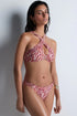 Aubade Feline Energy Hipster briefs